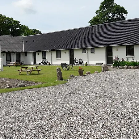 Lyngbjerggaard Ferieboliger - Bed & Breakfast Fjerritslev